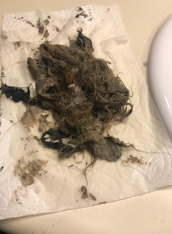 a pile of gunk that drain snake pulled out of same reviewers drain