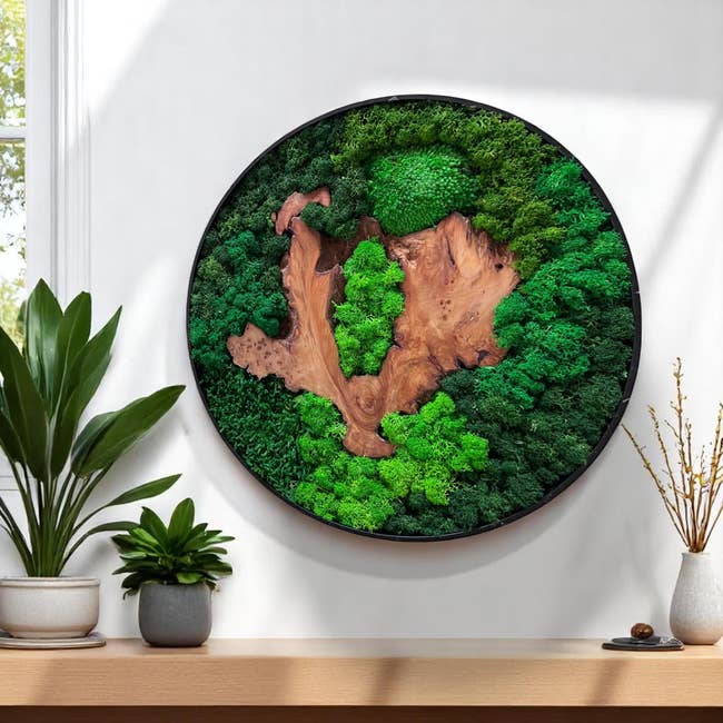 Cedar wood and vibrant moss in different shades of green in a circle frame hanging on a wall