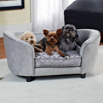 three small dogs on the gray couch-shaped bed