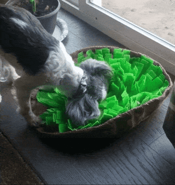Reviewer gif of their dog searching through the snuffle mat for treats