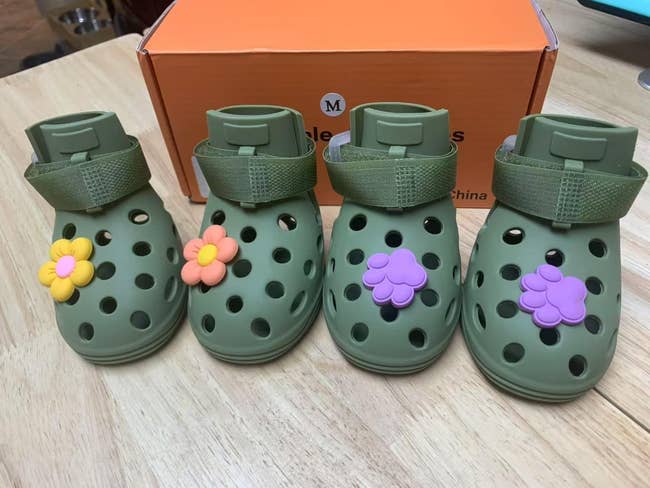 Four pairs of tiny  greenish  canine  clogs with floral decorations successful  beforehand   of a shoebox connected  a woody  surface