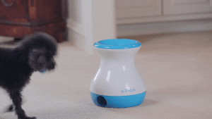 gif of a dog picking up a tennis ball and putting it into the device that then launches it so the dog can fetch it