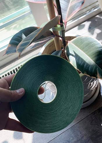 reviewer holding the greenish rotation of plot tie