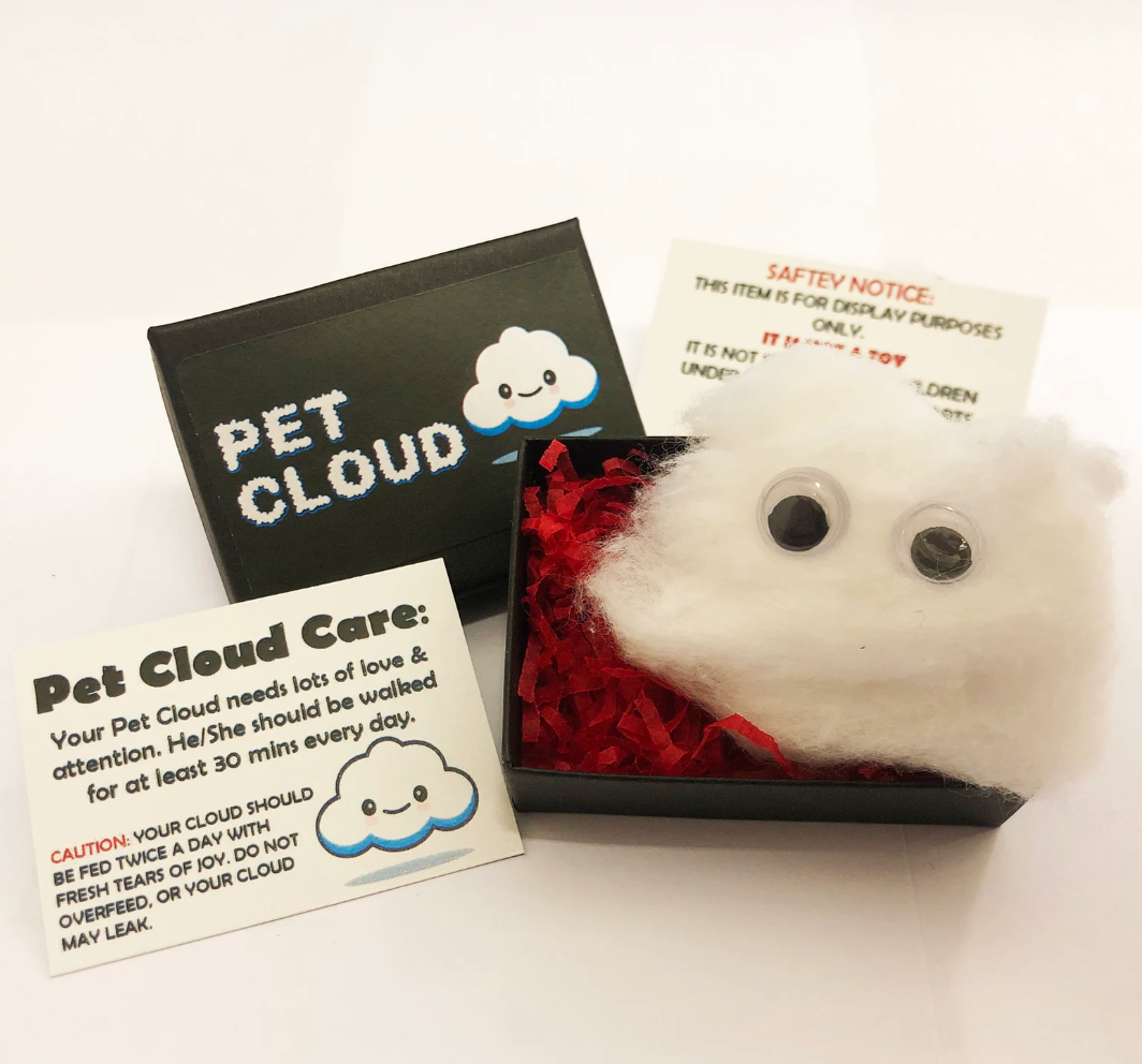 A fluff ball with google eyes in a box that says pet cloud, plus instructions to take care of it 