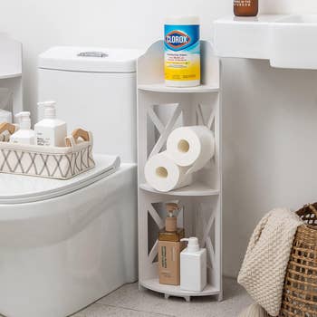 Bathroom country   support  with cleaning supplies, toilet insubstantial  rolls, and toiletries, adjacent  to a toilet and sink, showcasing organized retention  options