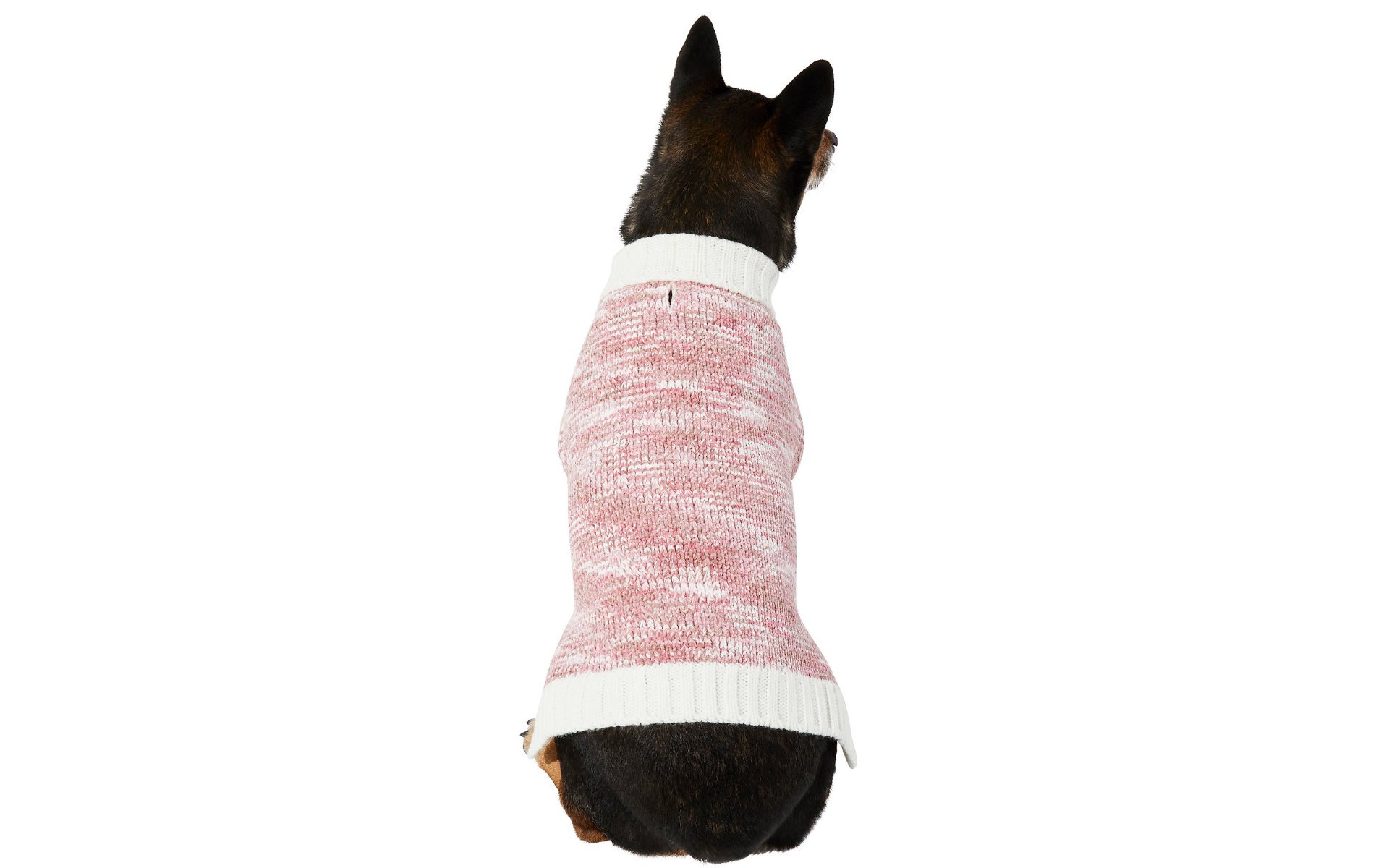 Dog in chenille sweater