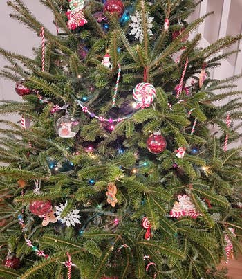 reviewer's tree with the garland around it
