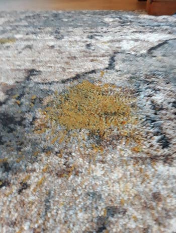 Close-up of a textured area rug showing a poop stain in the center