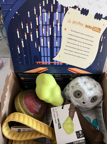 the Harry Potter-themed BarkBox set filled with dog toys