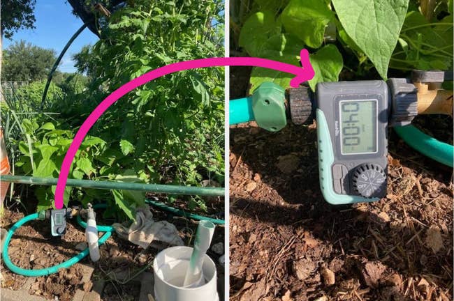 Digital irrigation timer attached to a hose successful  a plot  