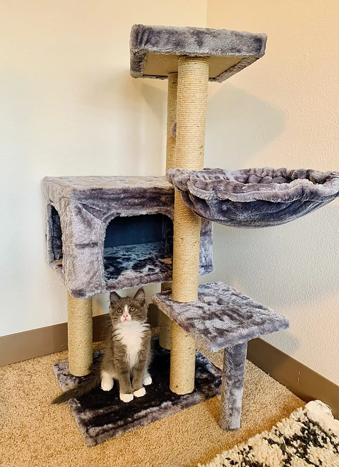 cat tree under $50
