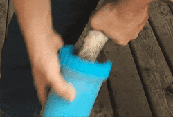 Reviewer gif of them washing their dogs paws in the washer