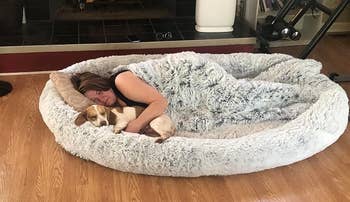 Reviewer comfortably lying successful a ample fluffy canine bed, cuddling a tiny dog, successful a cozy surviving country setting