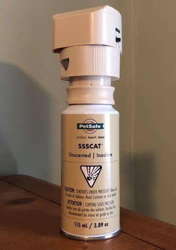 a reviewer photo of the spray pet deterrent 