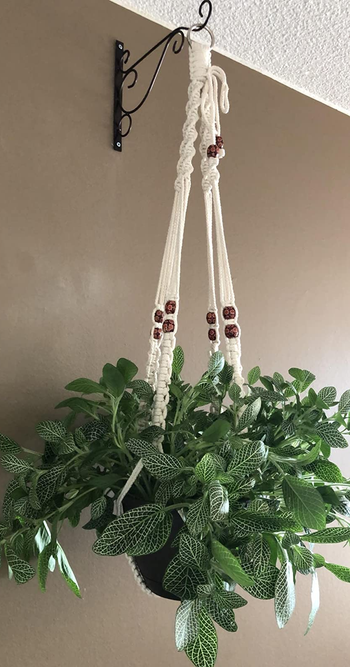Reviewer image of white and brown plant hanger