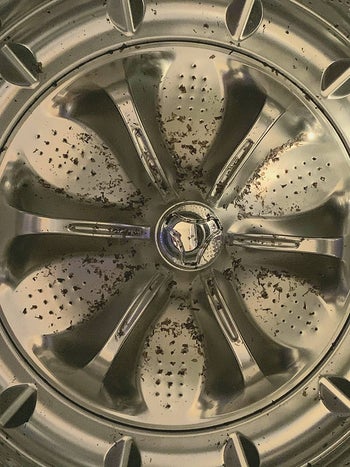 a reviewer's washing machine with grime that surfaced after using Affresh