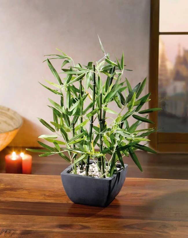 Fake bamboo plant inside small black pot with stones inside on top of a dark wooden table in front of candles