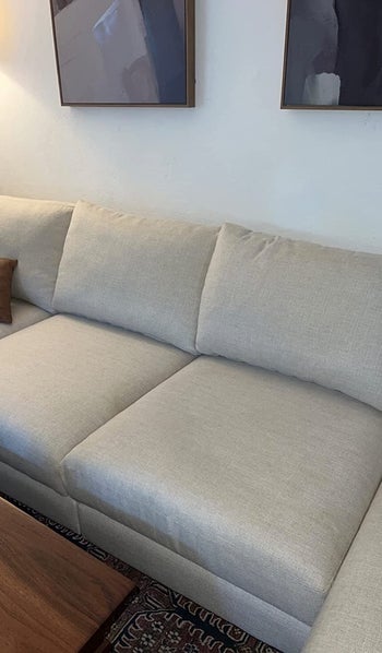 the asme reviewer's couch now clean