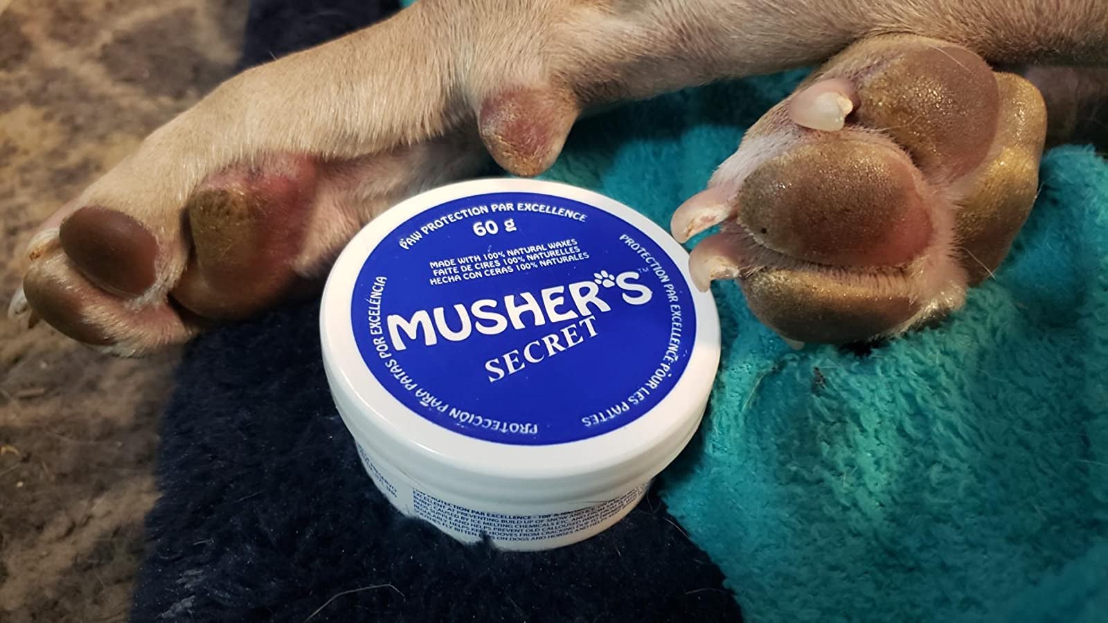 the paw wax along with reviewer's pitbull's moisturized paws