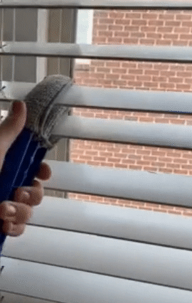Reviewer GIF demonstrating how to use the window blind duster brush