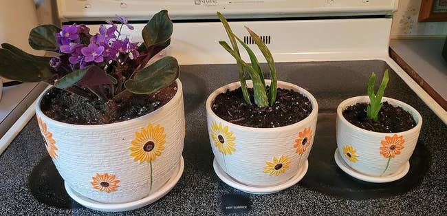 three different sized sunflower painted pots with plants in them
