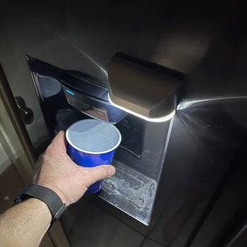 another reviewer's photo of the light above the water spout on their fridge