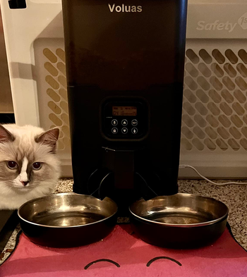 Reviewer image of product with two silver bowls under food dispenser and cat's head next to it