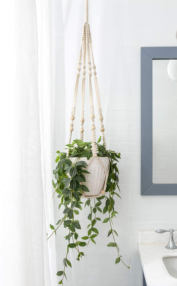 the white plant hanger hanging in a bathroom