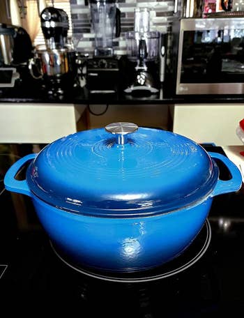 the blue dutch oven