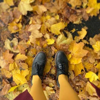 Person wearing stylish shoes and mustard tights lasting  connected  fallen autumn leaves