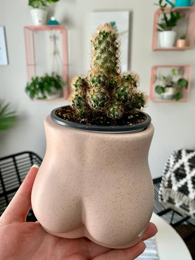 Reviewer holding a cactus plant in a planter shaped like a butt