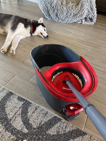 a circle mop being dried in a separate portion of a bucket