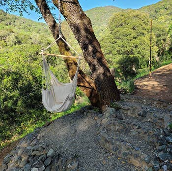 the cream fabric chair hanging from a tree