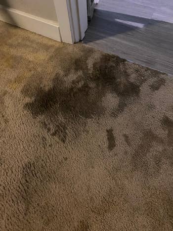 Significant stain on a carpet, suggesting a need for a carpet cleaner or stain removal product