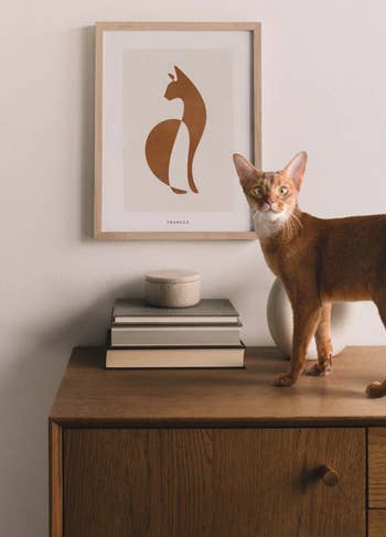 A cat standing near an abstract picture of themselves 