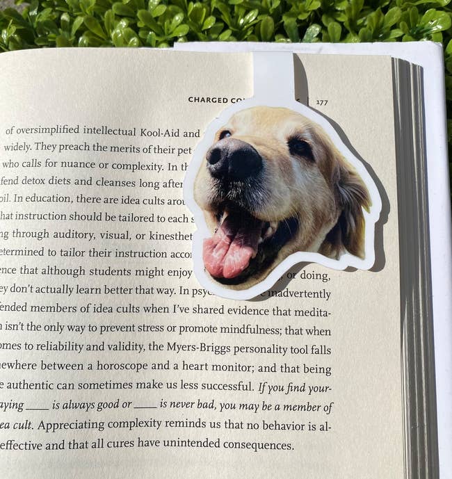 The bookmark that folds over the page shaped like a smiling golden retriever's head