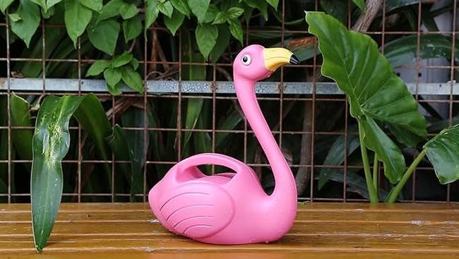the pink flamingo sitting by a plant