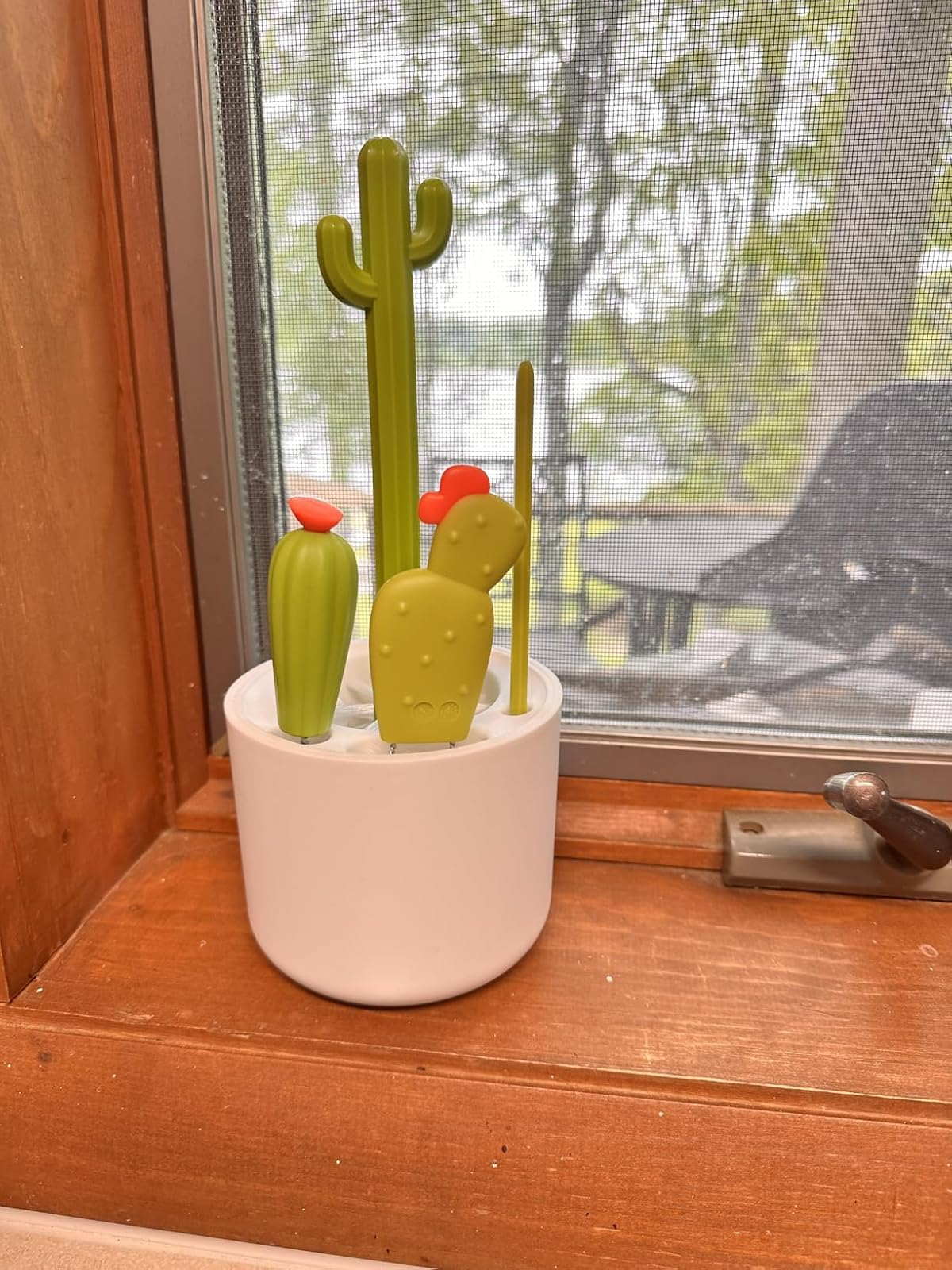 Cactus-themed room  utensils successful  a achromatic  pot, designed for casual  entree  and decorative storage, placed connected  a woody  windowsill