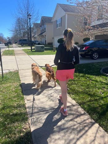 A woman walks two dogs on a suburban sidewalk