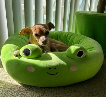 a reviewer's small dog lying on the pet bed