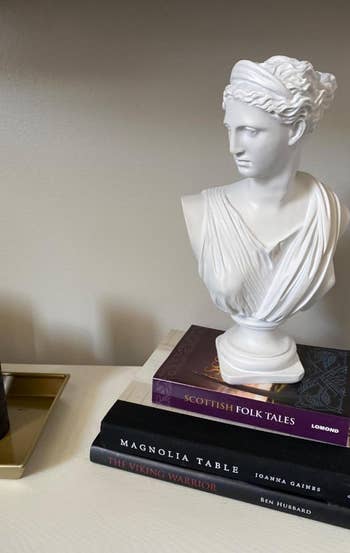 Reviewer's bust is placed on top of a large books