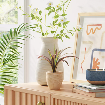 Product on wooden accent cabinet in front of white flower stems in white vase next to frames and stack of books
