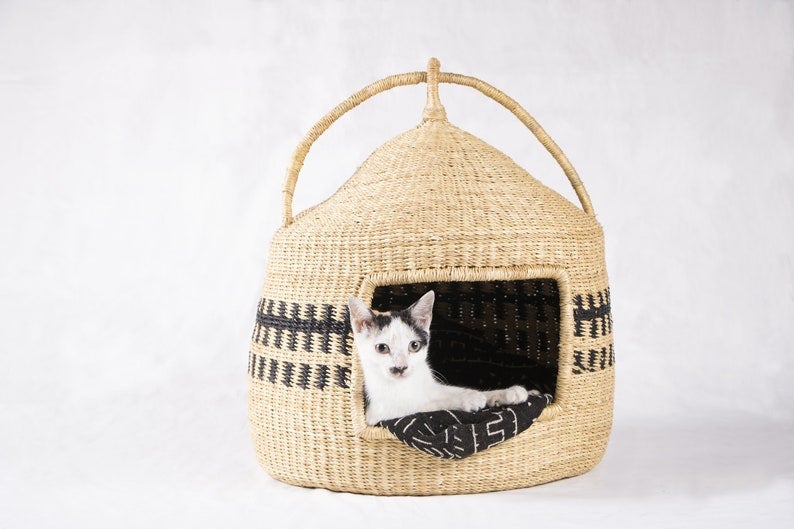 black and white kitten inside woven basket cat bed