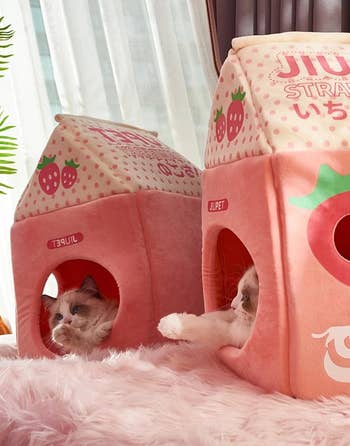 cat resting in the pink Japanese milk carton house