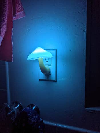 The mushroom nightlight in blue plugged into an outlet