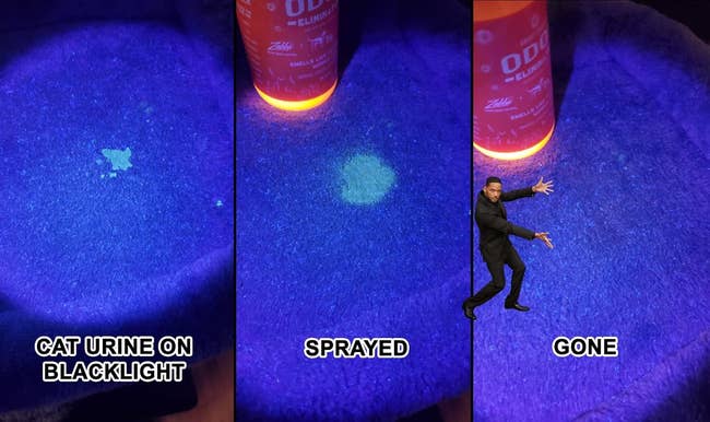 before/after of angry orange sprayed on a urine spot, showing how it's disappeared entirely