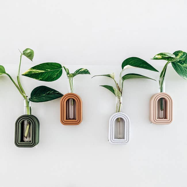 Four tiny wall-mounted vases with elemental greenish works cuttings, featuring sleek modern arches successful antithetic neutral tones