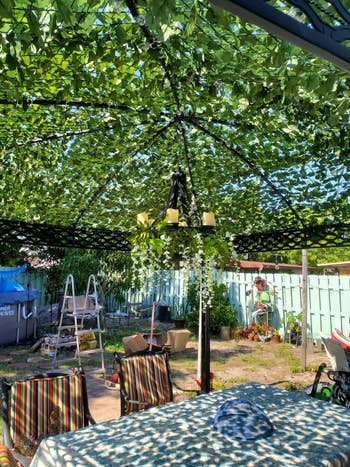 a pergola with vines covering the top