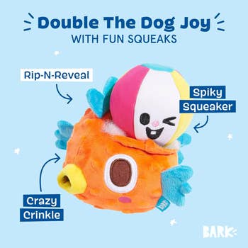 Dog artifact  advertisement featuring a two-part squeaky artifact  with a spiky shot  and food  exterior labeled with features similar  