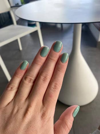 WordPress 網站 A person's hand with neatly manicured fingernails painted in a glossy, muted green color